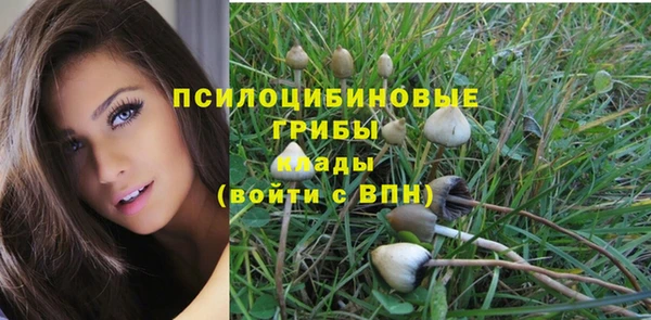 экстази Кукмор