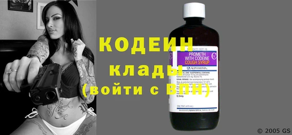 молекула духа Кулебаки