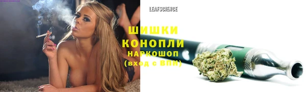 молекула духа Кулебаки