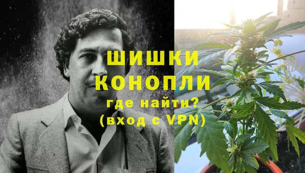 молекула духа Кулебаки