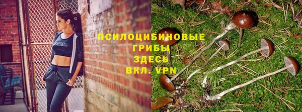 молекула духа Кулебаки